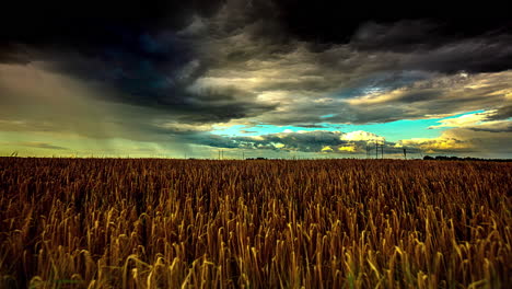 Impresionante-Timelapse-De-Campos-De-Trigo-Dorados-Con-Nubes-Oscuras-Y-Siniestras-Pasando