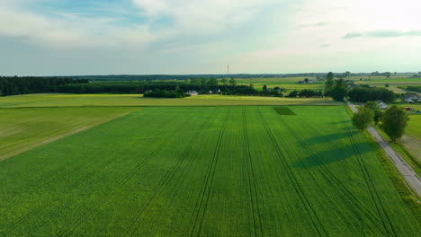 Luftaufnahme-Von-Ausgedehnten-Grünen-Feldern-Mit-Einer-Straße,-Die-Durch-Sie-Verläuft