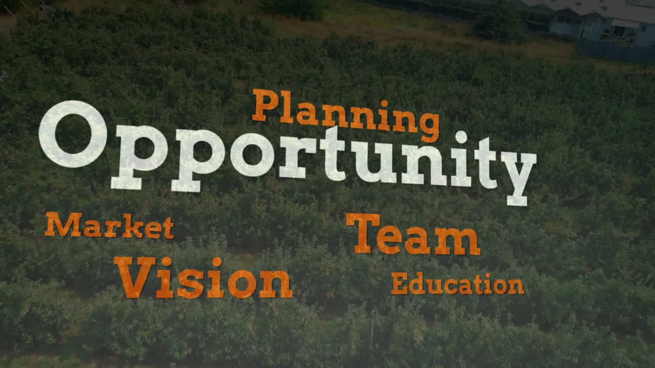 Animation of opportunity words overlaying landscape with trees and greenery