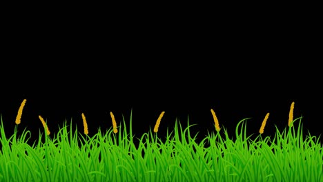 swaying green grass and the flowers in the wind animations with alpha matte 10 seconds seamless loop