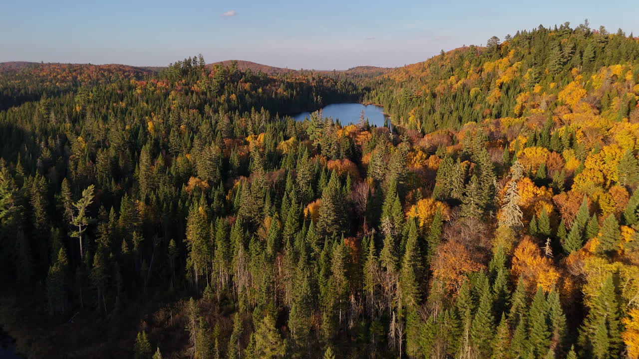 Aerial view of a colorful autumn sunset over a lake and forested mountains in Mauricie, Quebec, Canada. Warm golden light reflects on the calm water