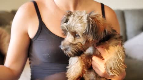 una mujer jugando con un cachorrito marrón desaliñado en cámara lenta