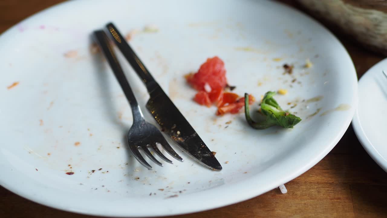 Empty Plate with Leftovers