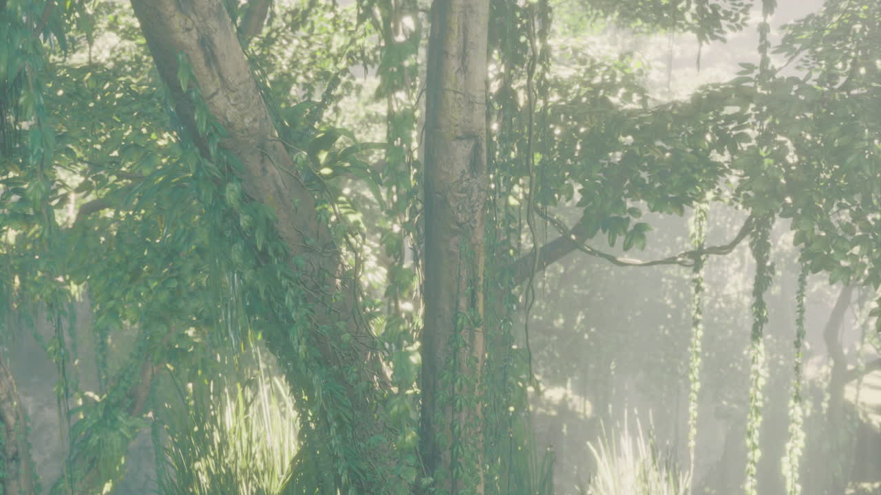 울창한 정글 숲의 장면