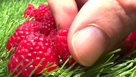 Rasberries, Raspberry Fruit Healthy Food