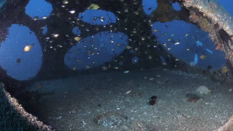 scuba divers view swimming into a deep underwater structure created for as an artificial reef