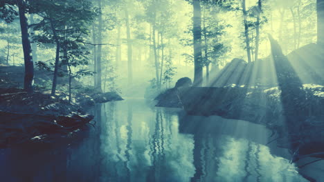 estanque oscuro en un bosque misterioso