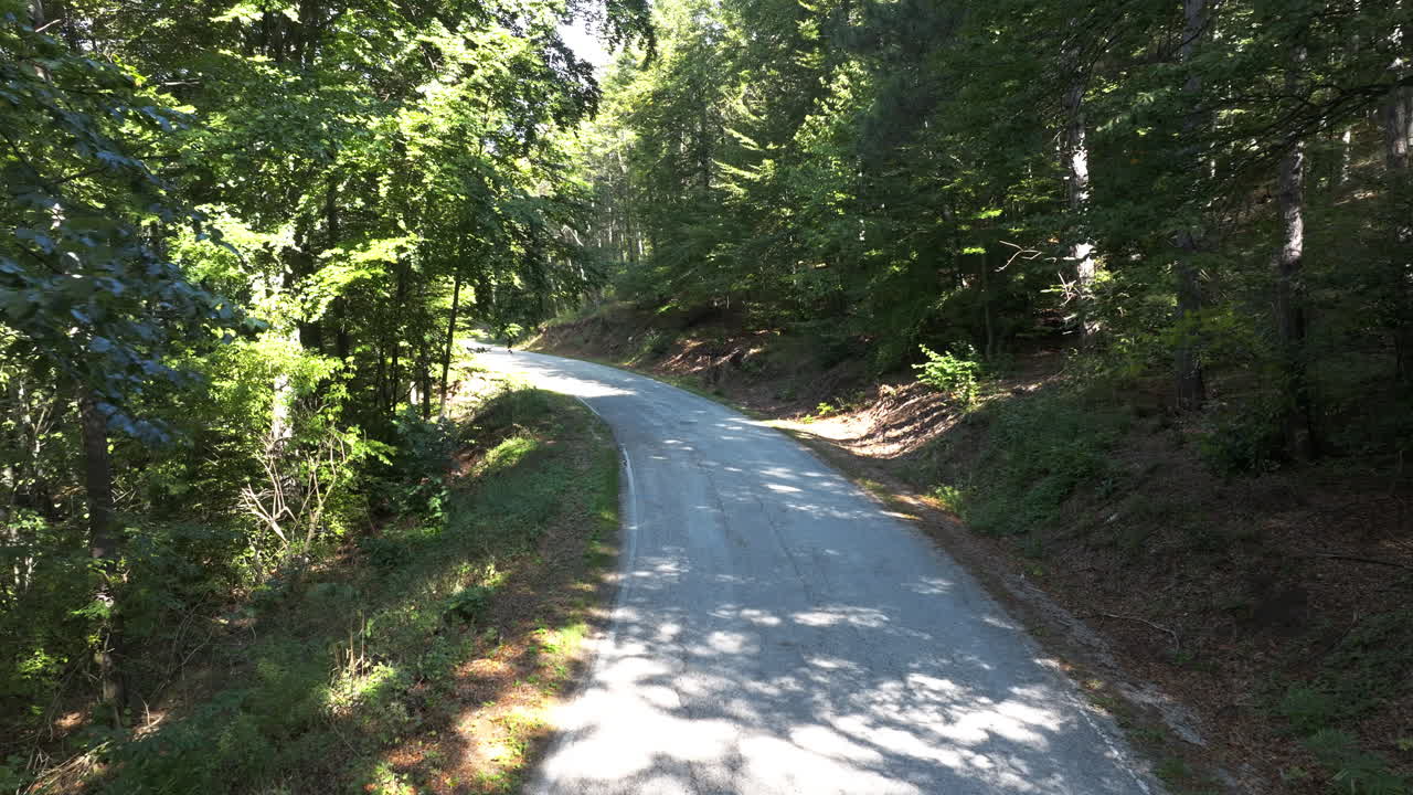 A winding road through a lush green forest