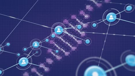 animación de la red de conexiones con iconos y cadena de adn.