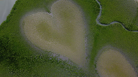 aerial over the heart of voh in new caledonia mangrove