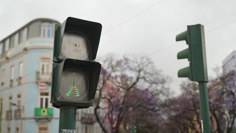 green pedestrian light at crosswalk