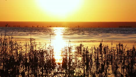 Lebendiger-Sonnenaufgang-Mit-Spiegelreflexion-In-Ruhigem-Wasser