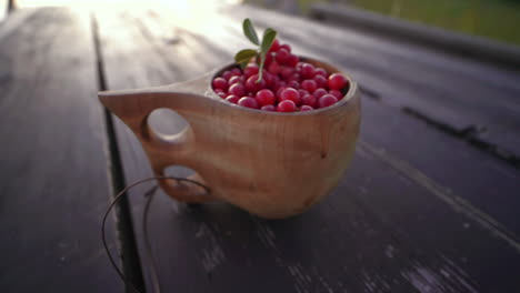 Superfood-Preiselbeeren-Aus-Lappland,-Finnland