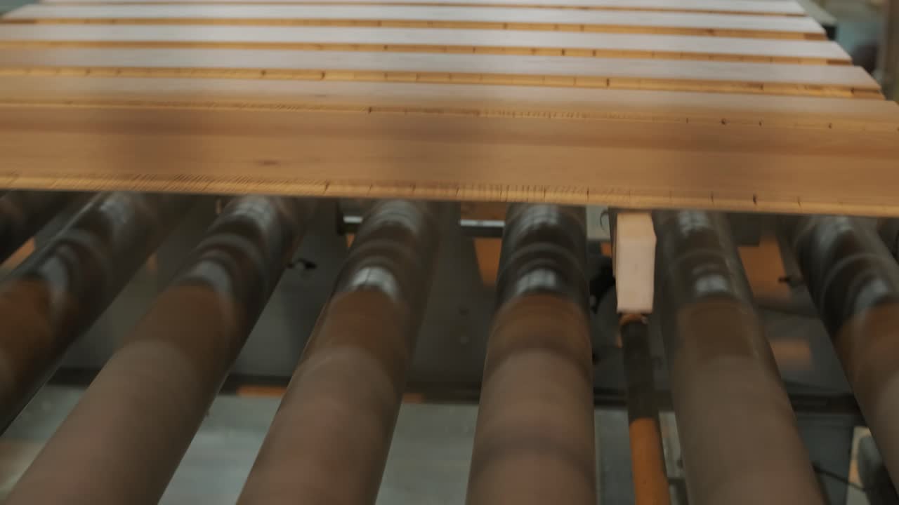 Wooden Planks Moving on Conveyor Belt in Woodworking Factory