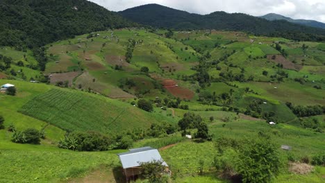 pa pong piang rice terraces