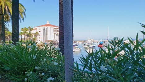 beautiful avalon harbor in catalina island, california