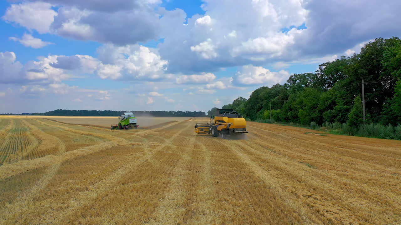 Season of gathering crops. Aerial view of combine harvesting wheat