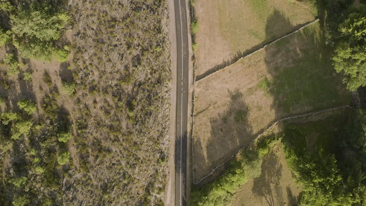 arriba hacia abajo de la carretera asfaltada rural vacía rodeada de terreno de bosque seco al atardecer