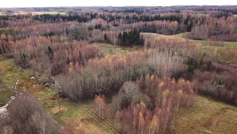 Drohnenaufnahmen-Von-Stromleitungen-Zwischen-Wäldern-In-Ländlichen-Gebieten-An-Einem-Bewölkten-Herbsttag