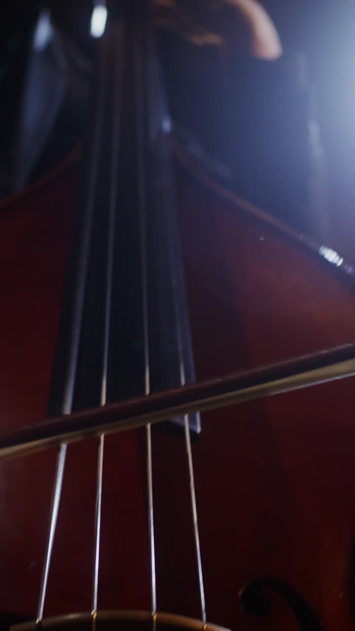 Close-up of a double bass being played