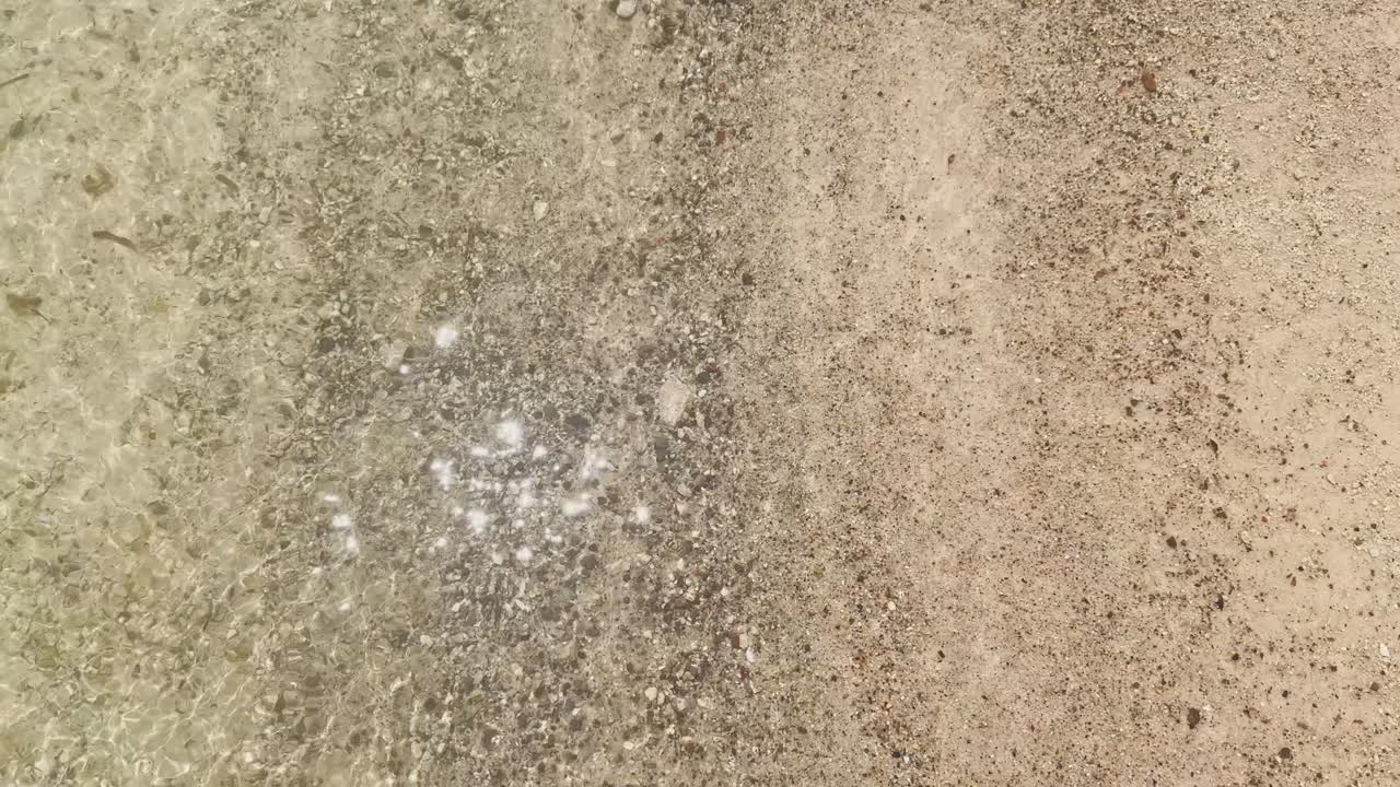 해변과 파도에서 은 날