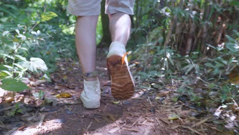 close up of male hiker's legs hiking in the forest