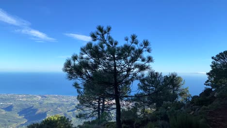 stunning view from sierra bermeja mountain top with green trees and forest in spain, fun hiking, 4k shot