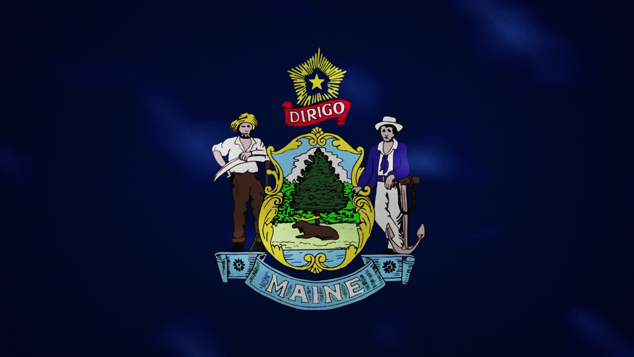 las ondas de tela de la bandera densa de maine, bucle de fondo