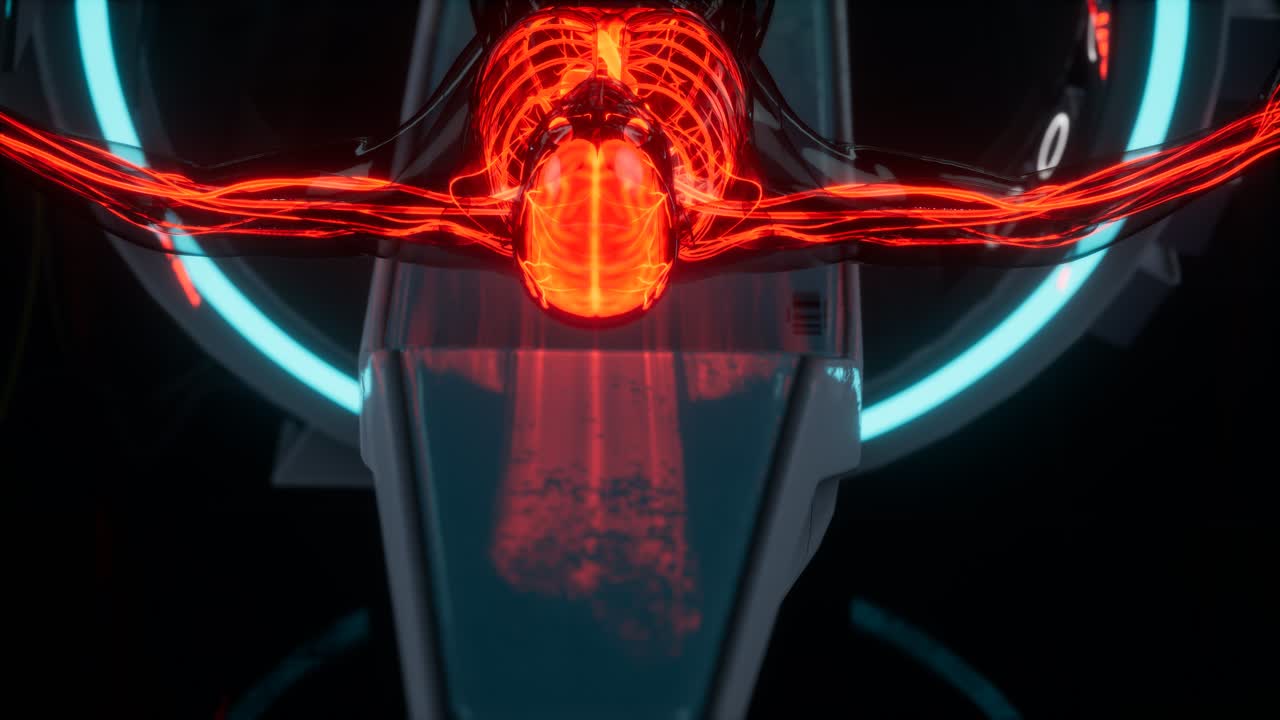 exploración de la anatomía de los vasos sanguíneos humanos