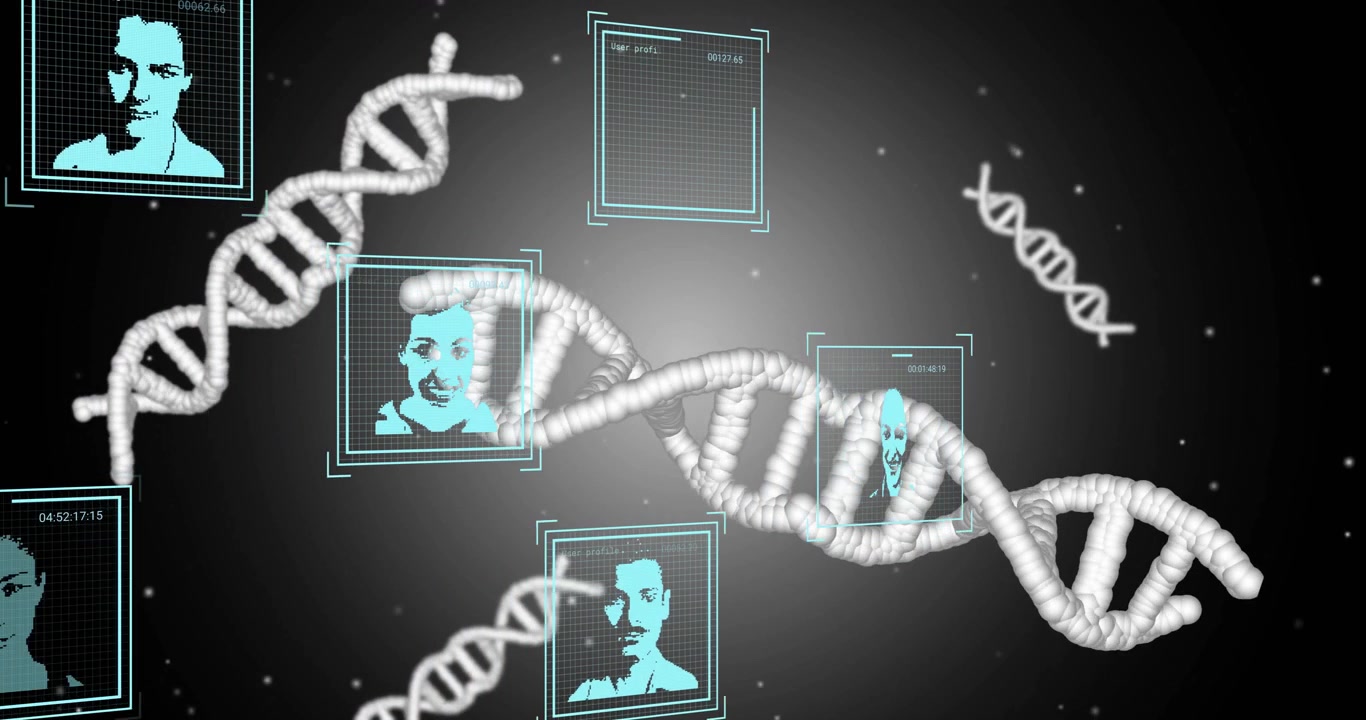 DNA strands and digital portraits, genetic data analysis animation