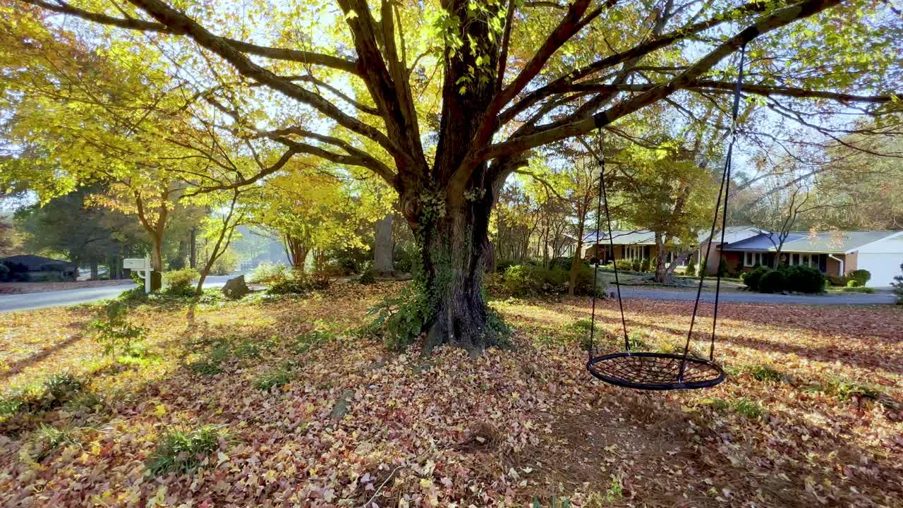 Autumn Scene:  A tree with fall leaves and a hanging swing in a front yard