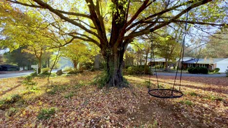 autumn scene:  a tree with fall leaves and a hanging swing in a front yard