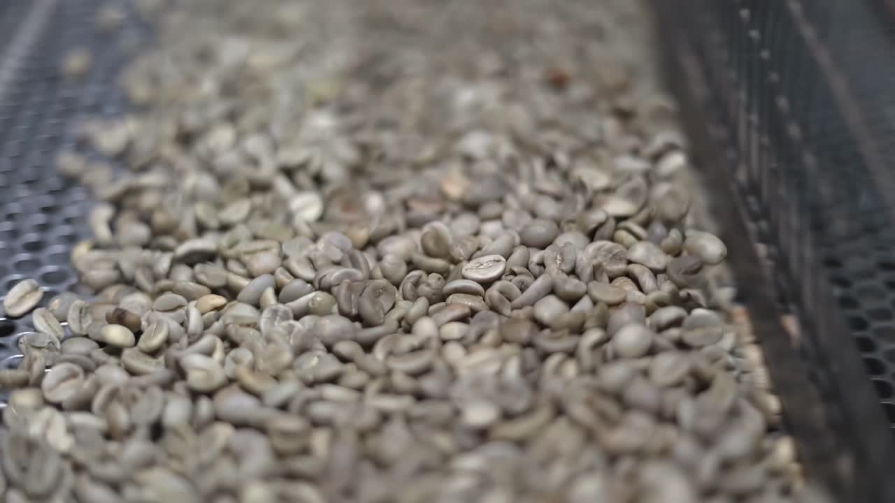 Primo piano di chicchi di caffè tostati all'interno di una macchina per la pulizia e la selezione dei chicchi