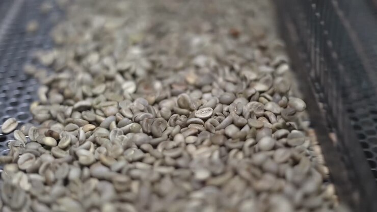 Close-up of roasted coffee beans inside a bean cleaning and grading machine