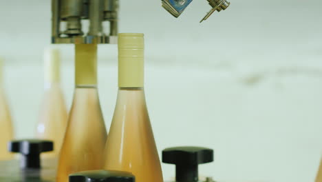 bottles of wine moving along the conveyor to the car where they are washed with water