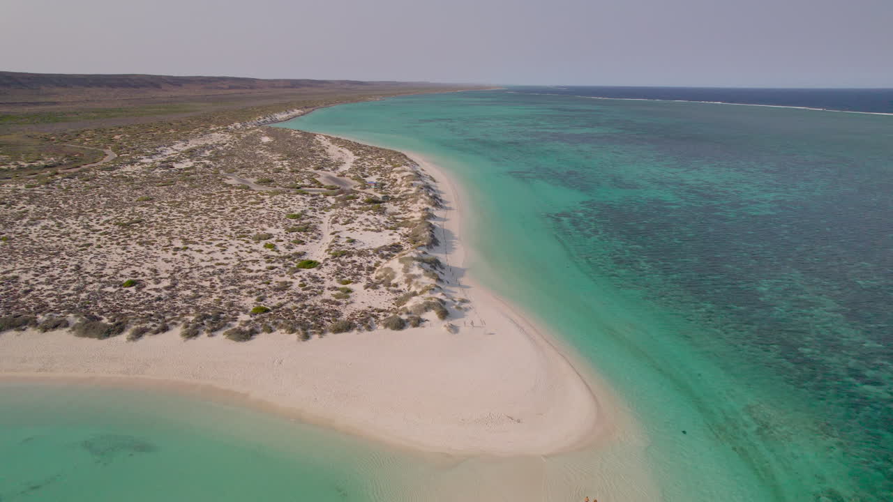 Bir çift berrak suya doğru koşarken, bir drone Turkuaz Koyu'ndaki bir kum çıkıntısına doğru uçuyor. Turkuaz tonları, resif desenleri ve kıyı şeridi, Exmouth, Batı Avustralya yakınlarındaki Cape Range Milli Parkı içinde buluşuyor.