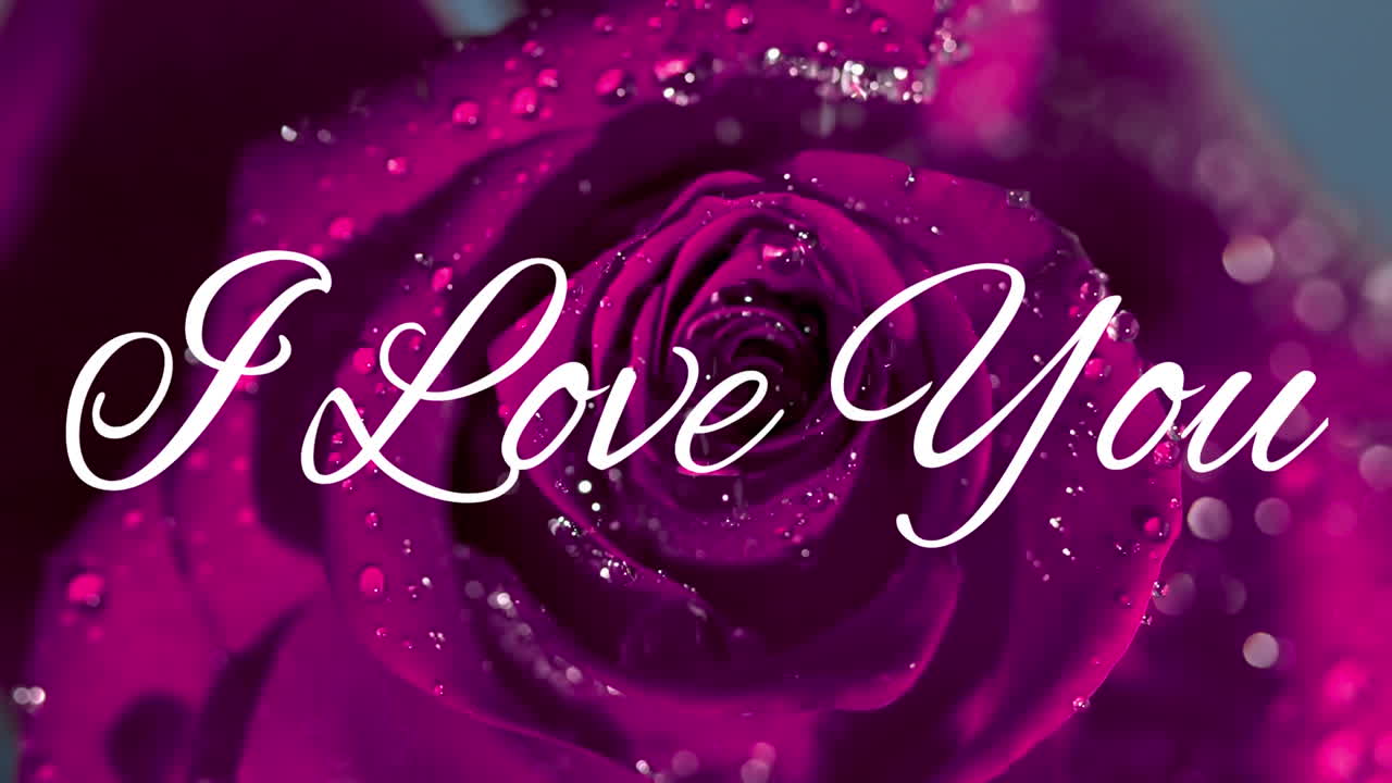 발렌타인 데이 메시지