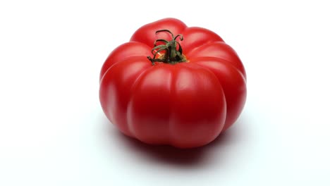 tomate rojo (con bucle)