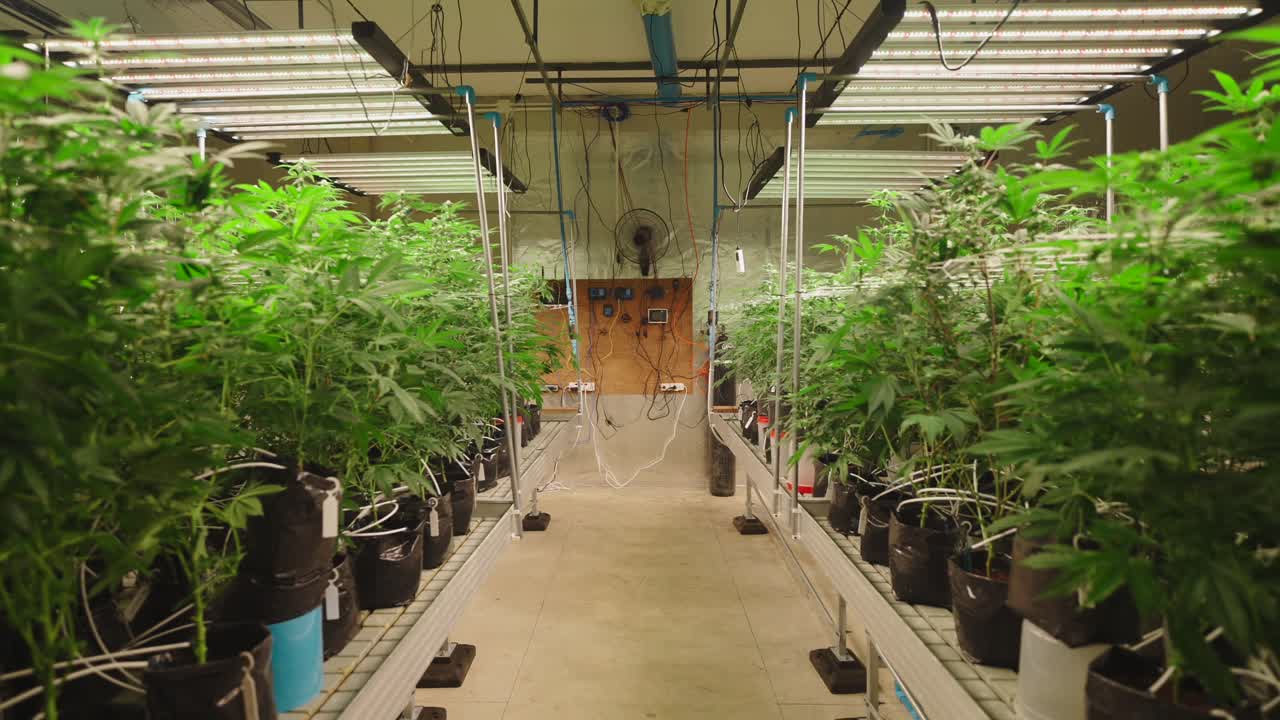 Indoor Cannabis Cultivation Facility