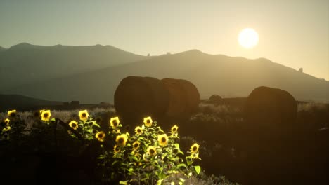 fardos de heno en la puesta de sol