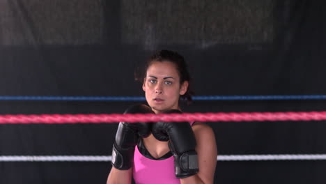 sporty serious brunette boxing