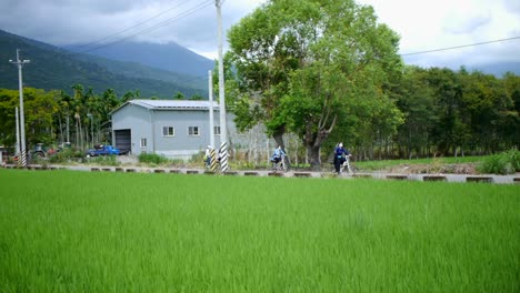 group of 4 female bikers riding through rural area with rice paddies and farm shed on street and mountain in background, filmed from distance as slow moving pan