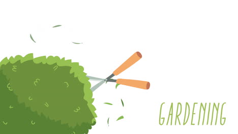 gardening tools and plants