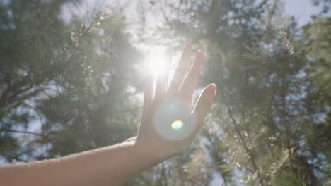 hand touching sun reaching for sunlight shining between fingers catching sunshine in forest woods