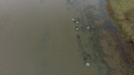 vista aérea de aguas altas en primavera, inundación del río alande, agua marrón y fangosa, campos agrícolas bajo el agua, día nublado, disparo de drone de ojo de pájaro amplio hacia adelante