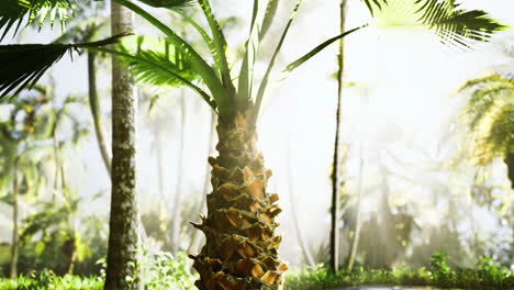 Tropical paradise showcases a vibrant pineapple surrounded by lush greenery