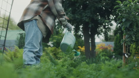 hombre regando plantas en un jardín