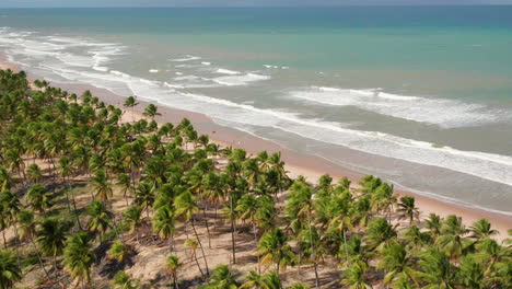 Aerial-view-of-the-Imbassai-beach-and-a-large-green-area-of-palm-trees,-Imbassai,-Bahia,-Brazil