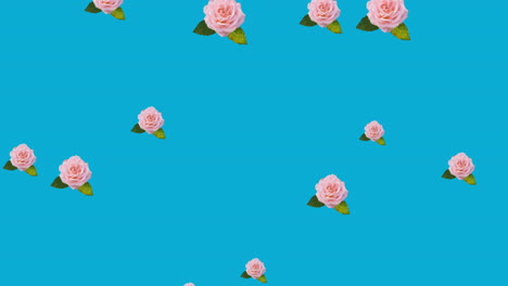 animación de flores rosadas que se mueven en movimiento hipnótico sobre un fondo azul