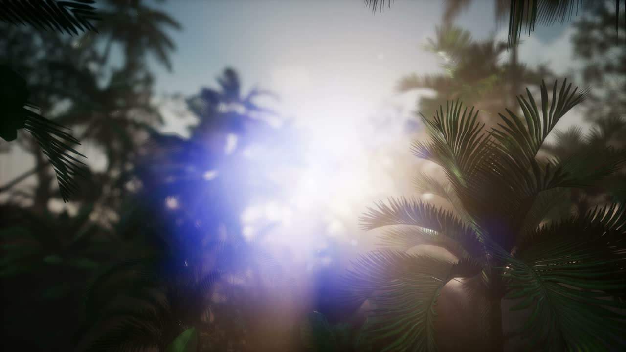 ⁇ 나무 를 가로지르는 해 가 지는 광선